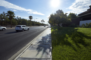 Grass use at The Lakes Busines Park off West Sahara Avenue near South Durango Drive, Las Vegas, Nevada: digital photograph