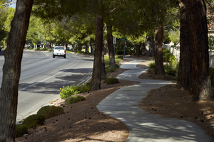 Sidewalks on West Lake North Drive in The Lakes, Las Vegas, Nevada: digital photograph