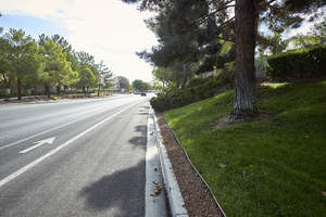 Landscaping on West Lake North Drive in The Lakes, Las Vegas, Nevada: digital photograph