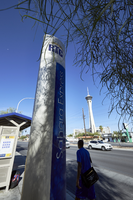 RTC bus stop on East Sahara Avenue near Joe W Brown Drive looking west, Las Vegas, Nevada: digital photograph