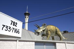 Triceratops at the Jewelry & Mineral-Las Vegas shop on East Sahara Avenue looking northwest, Las Vegas, Nevada: digital photograph