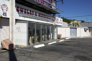 Triceratops at the Jewelry & Mineral-Las Vegas shop on East Sahara Avenue looking northwest, Las Vegas, Nevada: digital photograph