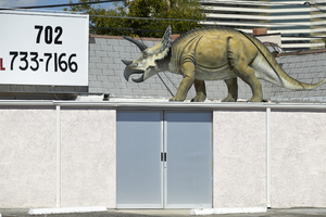 Triceratops at the Jewelry & Mineral-Las Vegas shop on East Sahara Avenue, Las Vegas, Nevada: digital photograph
