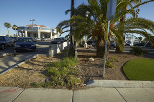 Landscaping at auto dealerships, looking north, Las Vegas, Nevada: digital photograph