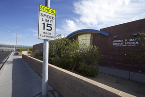 Lamb Boulevard showing Jerome D. Mack Middle School, looking north,: digital photograph