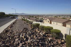 Landscaping along Hollywood Boulevard south of East Sahara Avenue, looking south, Las Vegas, Nevada: digital photograph