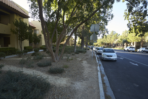 Landscaping along Grand Canyon Drive south of West Sahara Avenue, looking south, Las Vegas, Nevada: digital photograph
