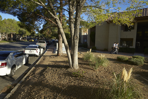 Landscaping along Grand Canyon Drive south of West Sahara Avenue, looking north. Las Vegas, Nevada: digital photograph