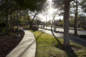 Paseo Verde Drive, Henderson, Nevada: digital photograph