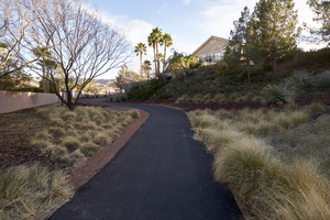 Paseo Verde Drive, Henderson, Nevada: digital photograph