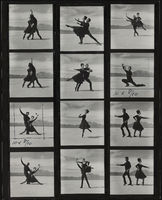 "Concerto for a Dead Rose": photographic print