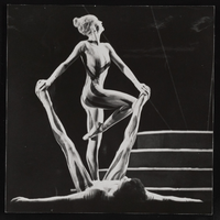 Mantodea, image 005: photographic print