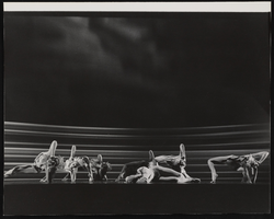Mantodea, image 006: photographic print