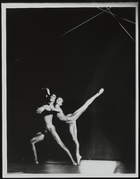 Mantodea, image 027: photographic print