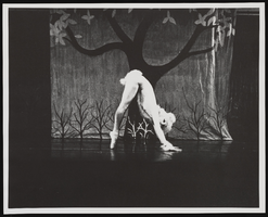 Peter and the Wolf, image 005: photographic print