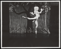 Peter and the Wolf, image 006: photographic print
