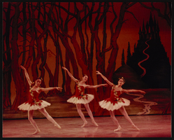 Cinderella, image 031: photographic print
