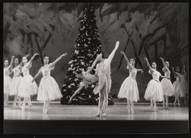 Nutcracker, title to be edited