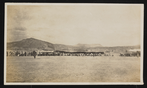 Desert gathering: postcard