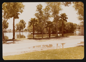 Las Vegas Art Museum at Lorenzi Park: photographic print