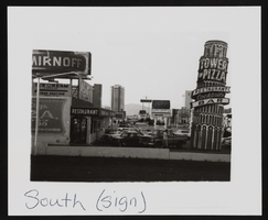 South view of the Tower of Pizza: photographic print