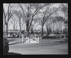 Woodlawn Cemetery: photographic print