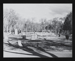 Woodlawn Cemetery: photographic print