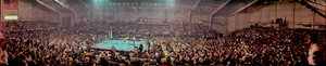 Larry Holmes vs. Trevor Berbick fight at Caesars Palace, Las Vegas, Nevada: panoramic photograph