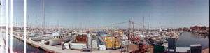 Boats at Monterey marina, Monterey, California: panoramic photograph