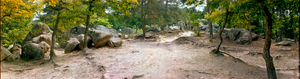 Barbizon Park/Foret Fontainebleau, France: panoramic photograph