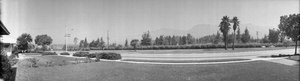 Paluzzi family home front yard, black-and-white, Las Vegas, Nevada: panoramic photograph
