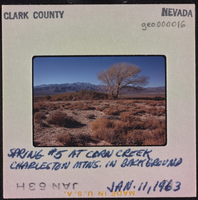 Photographic slide of spring at Corn Creek, Nevada, January 11, 1963
