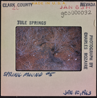 Photographic slide of a spring mound, Tule Springs, Nevada, January 10, 1963
