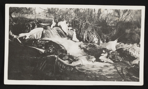 Photograph of a stream