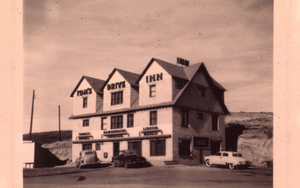 Tom's Drive Inn channel letters, Elko, Nevada: photographic print