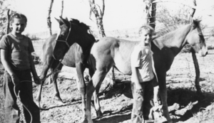 Judy Tubb and Nancy Tubb on the family farm: photographic print