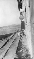 Joan Toles Turner playing on a boardwalk beside the home of her grandparents: photographic print
