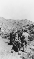 Horses pulling part of either a compressor or an engine up the trail to Josiah Irving Crowell's mine at Chloride Cliff, Nevada: photographic print