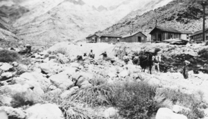 View of people walking in Carrara: photographic print