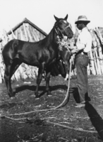 O.K. Reed at the Cedar Corrals, Cedar Pipeline: photographic print