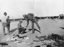 Working on the range with the United Cattle and Packing Company: photographic print