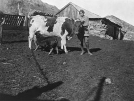 Orville Knighten Reed's ranch at Hawes Canyon, Nevada: photographic print