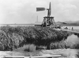 Windmill at Cedar at the end of Cedar Pipeline, Nevada: photographic print