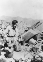 Clyde Rufus Terrell at his mine above Eden Creek: photographic print
