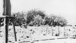 Old ranch house on the Carver ranch, Nevada: photographic print