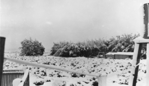 Old ranch house on the Carver ranch, Nevada: photographic print