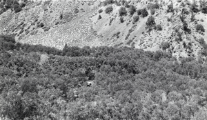 Wardenot pasture, Twin Rivers area, Toiyabe Mountains, Nevada: photographic print