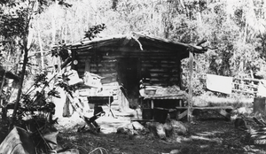 Cabin located in the Wardenot pasture, North Twin River, Nevada: photographic print