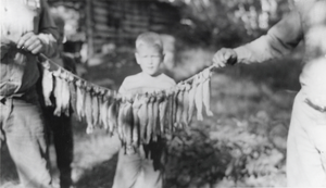 Gerald Miller Carver on a fishing expedition to the headwaters of the Reese River, Toiyabe Mountains, Nevada: photographic print