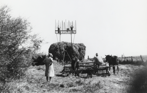 Haying at the R.O. Ranch, Nevada: photographic print